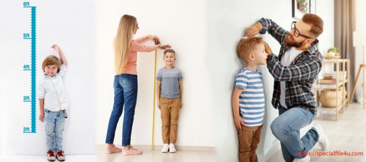 baby weight height chart